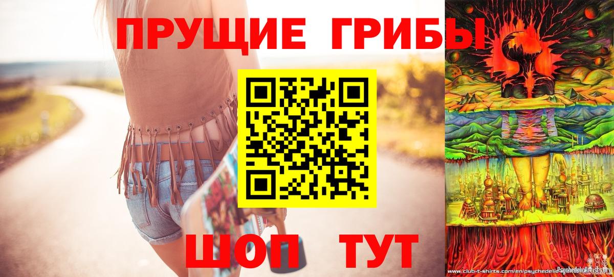 где купить наркоту  Галлюциногенные грибы Cubensis  Вход с VPN  Нововоронеж 