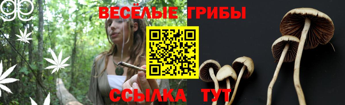 Галлюциногенные грибы GOLDEN TEACHER Нововоронеж